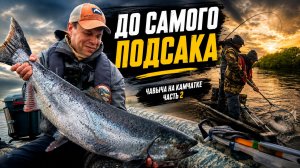 Чавыча на Камчатке. Трофеи, сходы, обрывы и приманки | Часть 2