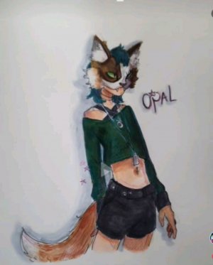 Квд
