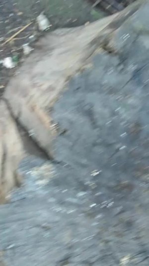 gdhdhdhdvd