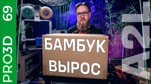 Теперь большой — A2L: новый принтер от Bambulab