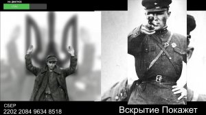 Стрим по сумеркам