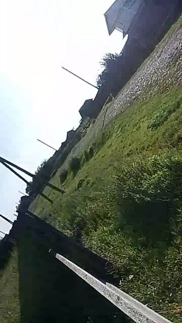 я поехал в деревню 2