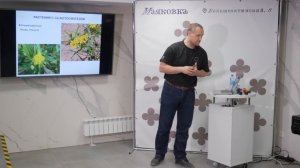 Альтернативная сборка: какой могла быть жизнь на Земле. Михаил Никитин