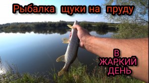 РЫБАЛКА ЩУК НА ПРУДУ В ЖАРКИЙ ДЕНЬ