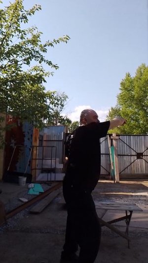 техника фаньцзы