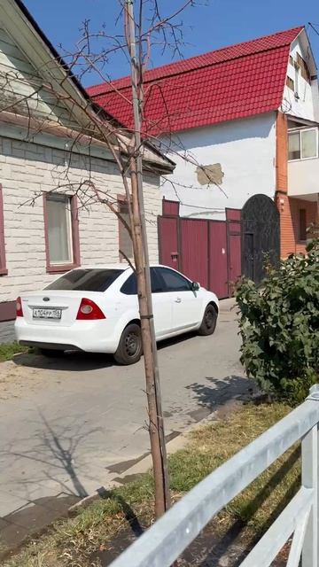 В Оренбурге поливают мертвые деревья