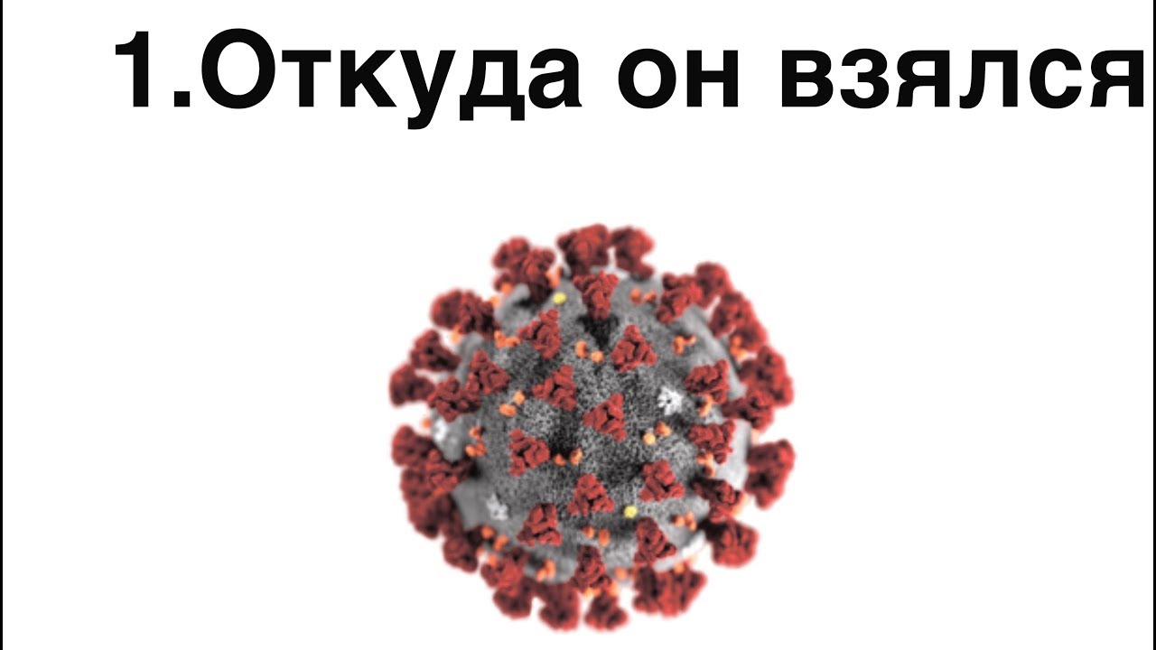 Коронавирус, что это такое и как не заболеть