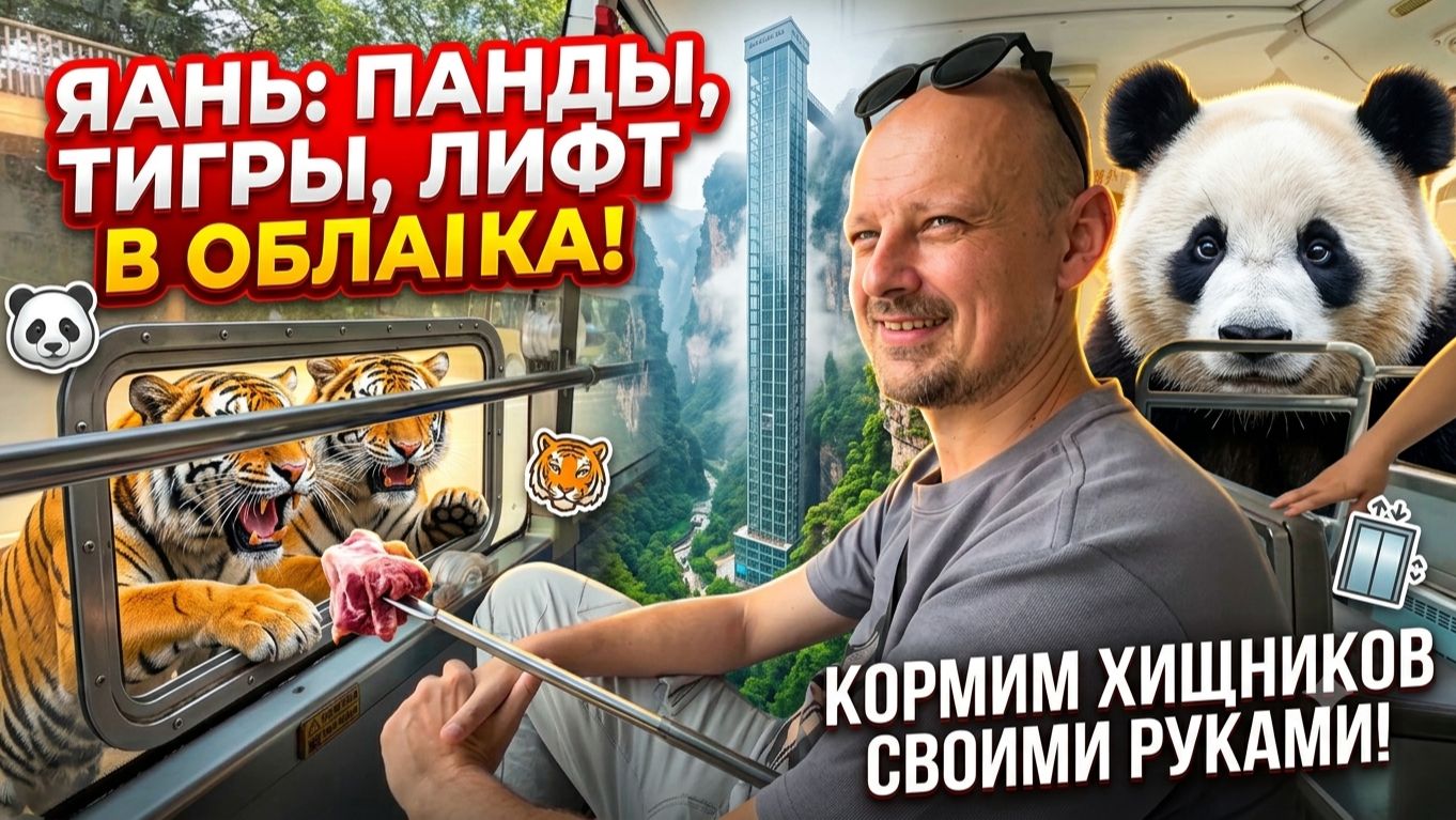 Затерянный мир Китая: Яань — пандовая столица, дикие тигры и стеклянный путь вверх