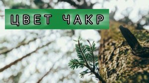 ТВОИ ЧАКРЫ МОГУТ ДРУГОГО ЦВЕТА 💫