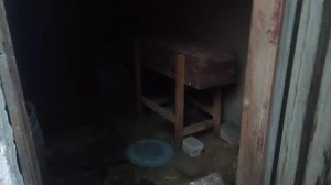 УДАЛЁННОЕ ВИДЕО ВИТКИ СО СВИНАРНИКОИ В ГОГОЛЕВО