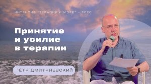 Принятие и усилие в терапии. Пётр Дмитриевский