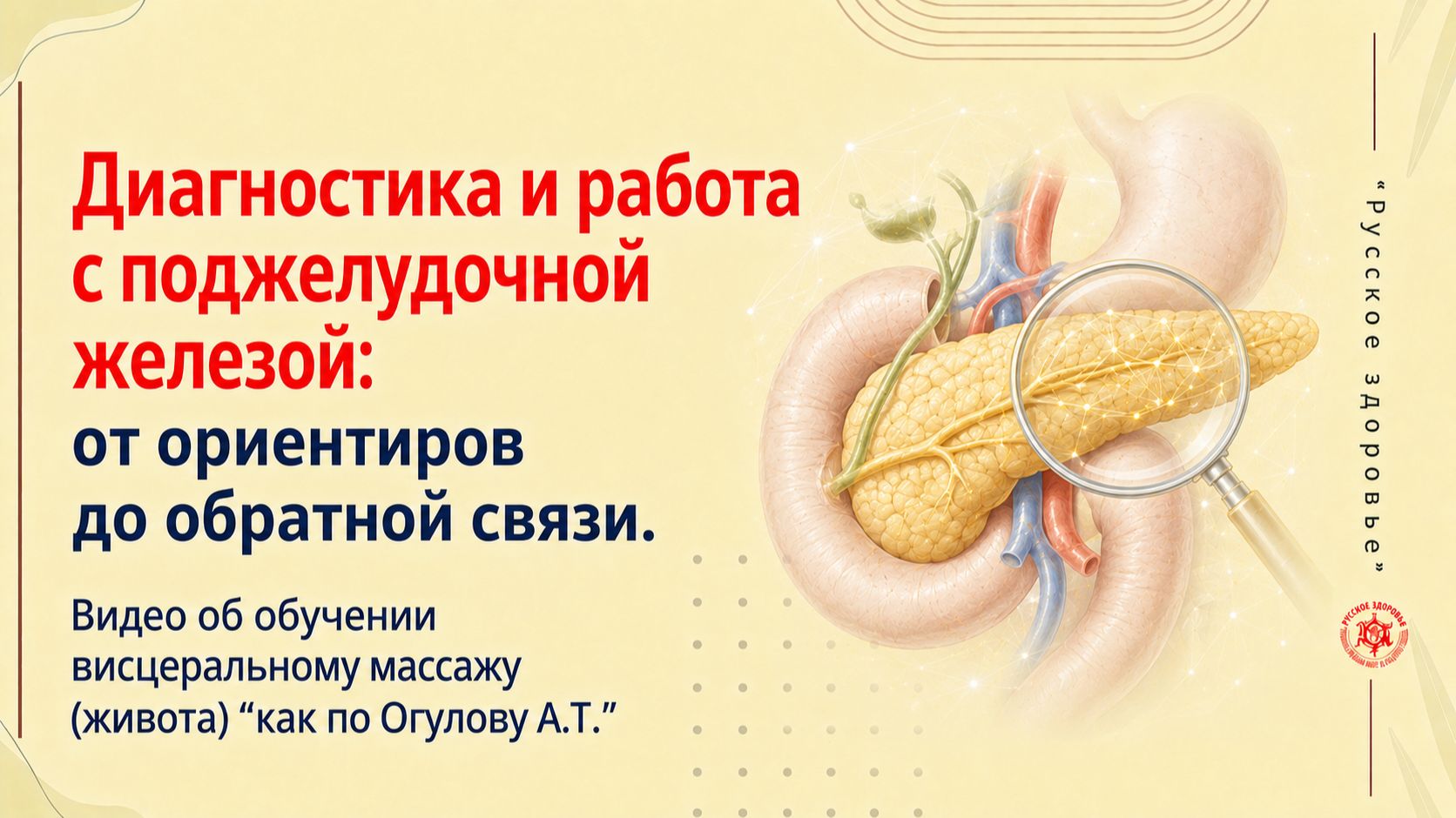 Диагностика и работа с поджелудочной железой: от ориентиров до обратной связи. Видео об обучении