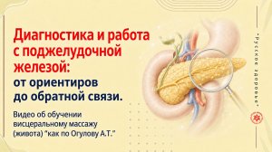 Диагностика и работа с поджелудочной железой: от ориентиров до обратной связи. Видео об обучении
