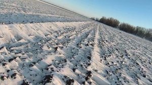 Мороз не помеха. Главное желание. Охота на зайцев.