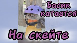 БАСИК КАТАЕТСЯ НА СКЕЙТЕ/СЕМЕЙКА КОТОБАСИКОВ