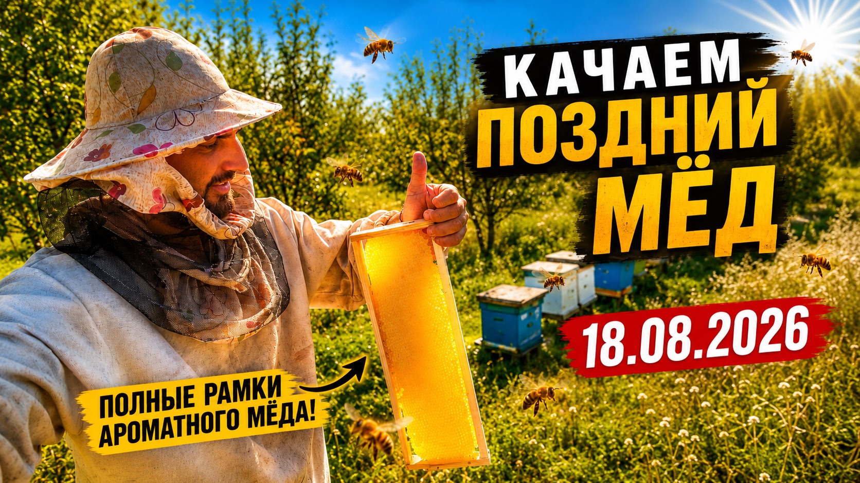 Качаем поздний мёд с подсолнечника. 18.08.2026