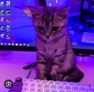 vcy