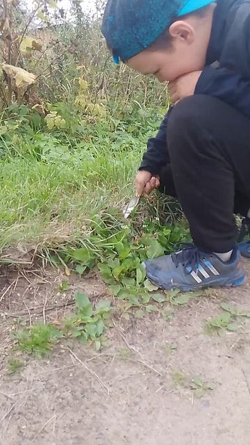 батя и сын
