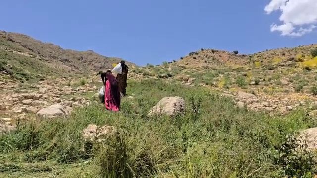 СЕМЬЯ ИЗ ИРАНА ВЫЖИВАЕТ В ГОРАХ В ОДИНОЧЕСТВЕ, СЧАСТЛИВЫЕ ЛЮДИ