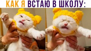 Как я встаю в школу))) Приколы