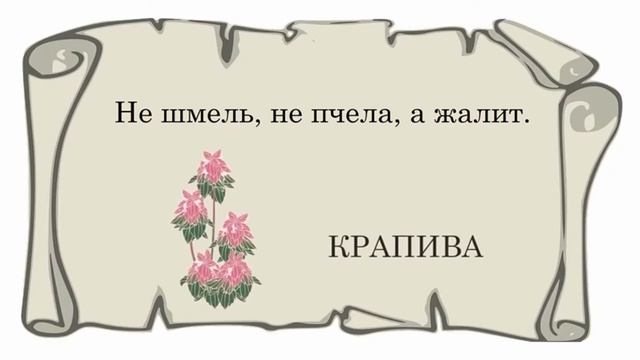 Русский народный фольклор. Малые жанры