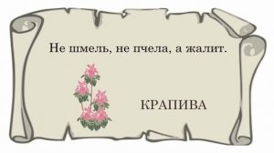 Русский народный фольклор. Малые жанры
