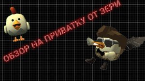обзор на приватку от зери!