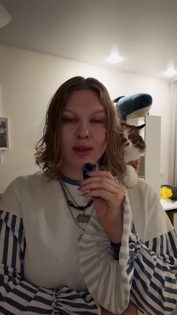 Смешные кошки