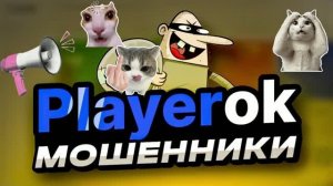 Playerok (Мошенники) изнутри: какие проблемы ждут каждого что может пойти не так? Личный опыт