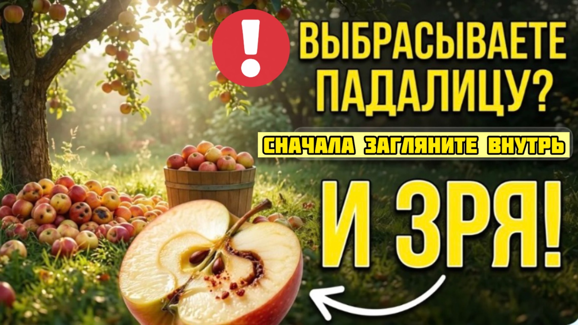 Падалица лучше навоза в 100 раз? 4 способа: куда девать падалицу. Это не удобрение для огорода!