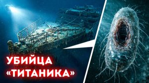 Почему «Титаник» разрушается, а древний корабль — нет? 🚢⚓