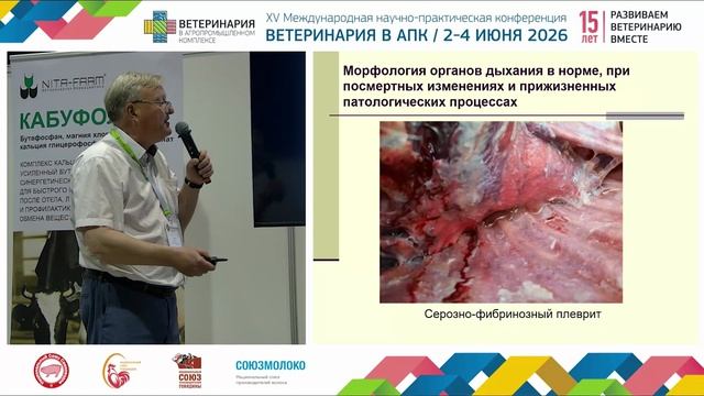 Громов И. Н. Патоморфологическая дифференциальная диагностика болезней телят, протекающих с