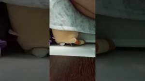 1000030750.mp4