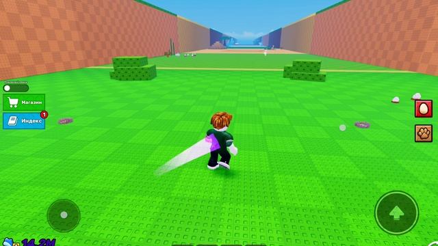 Roblox