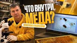 Как откачивают мёд и проверяют его в лаборатории | Алексей Тараканов