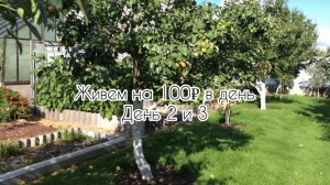 Живем на 100₽ в день. Что едим? Экономное меню на большую семью