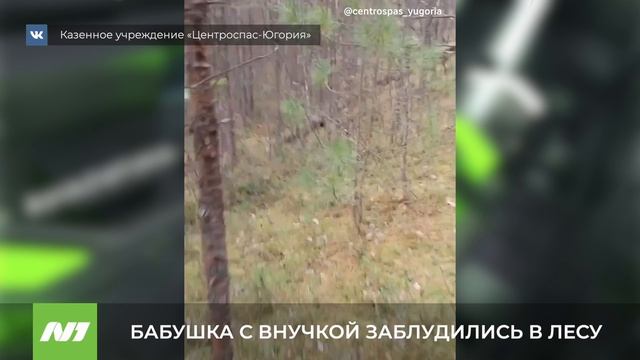Бабушка с внучкой заблудились в лесу. Нижневартовский район