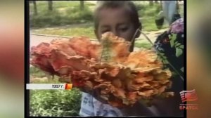 Время назад: Тихая охота - 1997