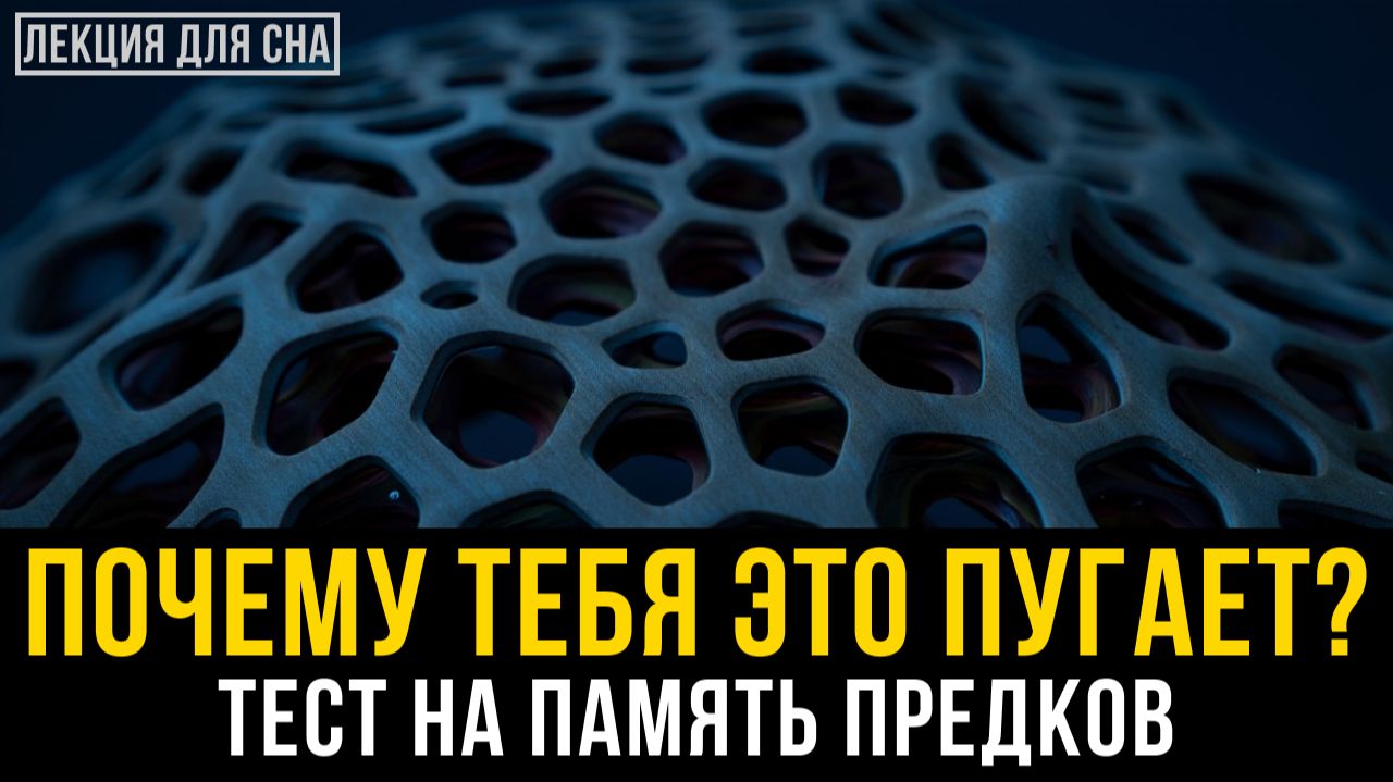 Ваш самый сильный страх не принадлежит вам. Что помнят ваши гены? 🌙 Лекция для сна 💤