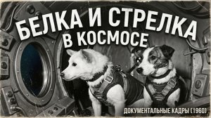 Белка и Стрелка в космосе (1960) документальные кадры