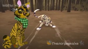 ❗МОЙ СТРАННЫЙ СОН ПО КОТАМ-ВОИТЕЛЯМ❗второе великое путешествие которое придумал мой мозг