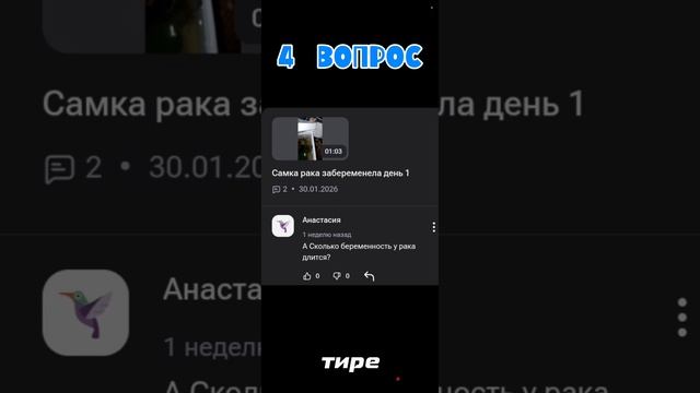Рубрика ответы на вопросы