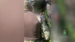 В Приамурье житель села Николаевка уличён полицией в заготовке свыше 30 кг марихуаны