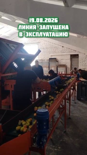 🍏 Линия калибровки яблок АСК-2 введена в эксплуатацию в Саратовском районе!