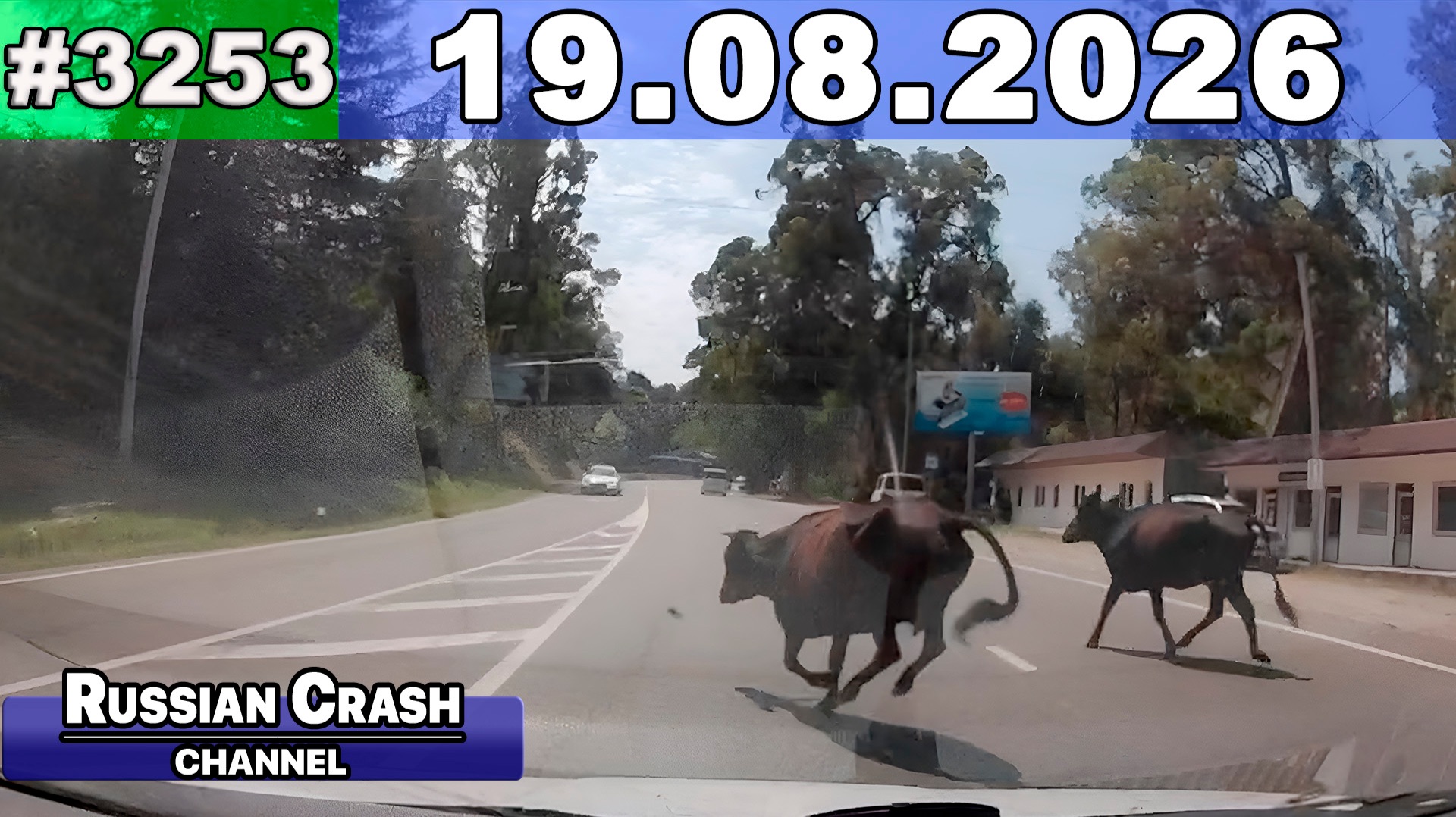 ДТП. Подборка на видеорегистратор за 19.08.2026 Август 2026