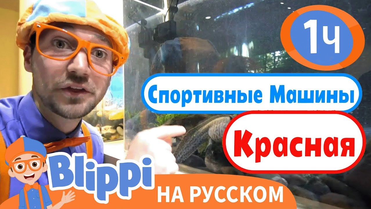 Песня Про Пекарню _ Изучай этот мир вместе с Блиппи _ Обучающие видео для детей