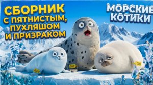Морские котики: Сборник с Пятнистым, Пухляшом и Призраком 🏷️ Любимая троица - 000, 001 и 006