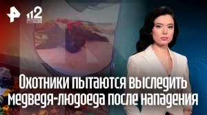 Медведь-людоед растерзал туристку на Алтае: что известно