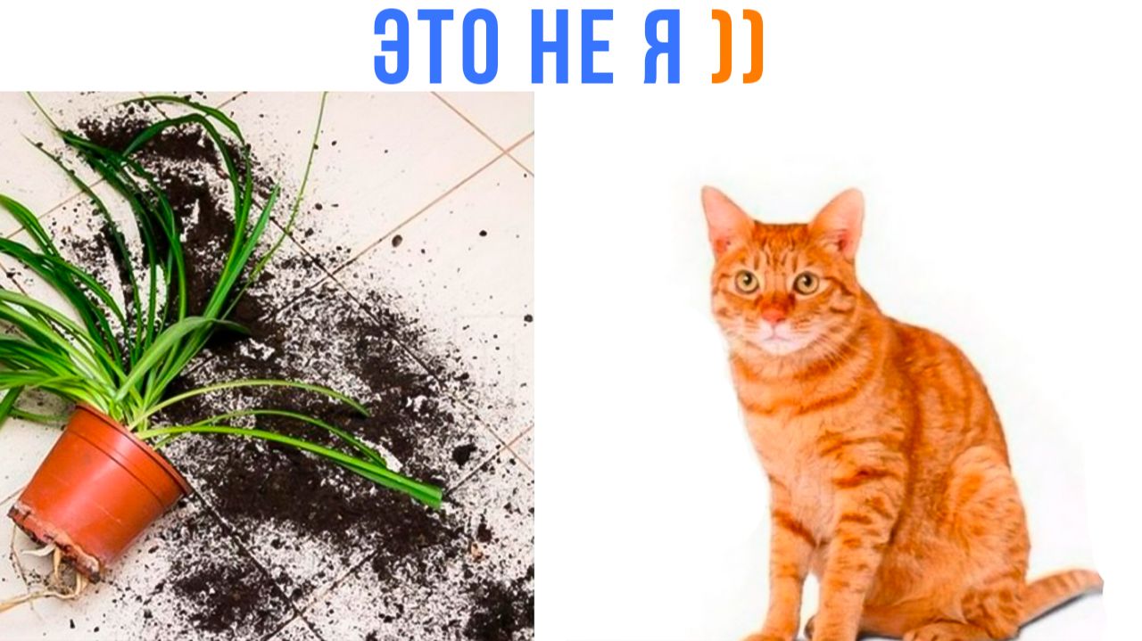ЭТО НЕ Я ))) Приколы | Мемозг 1783