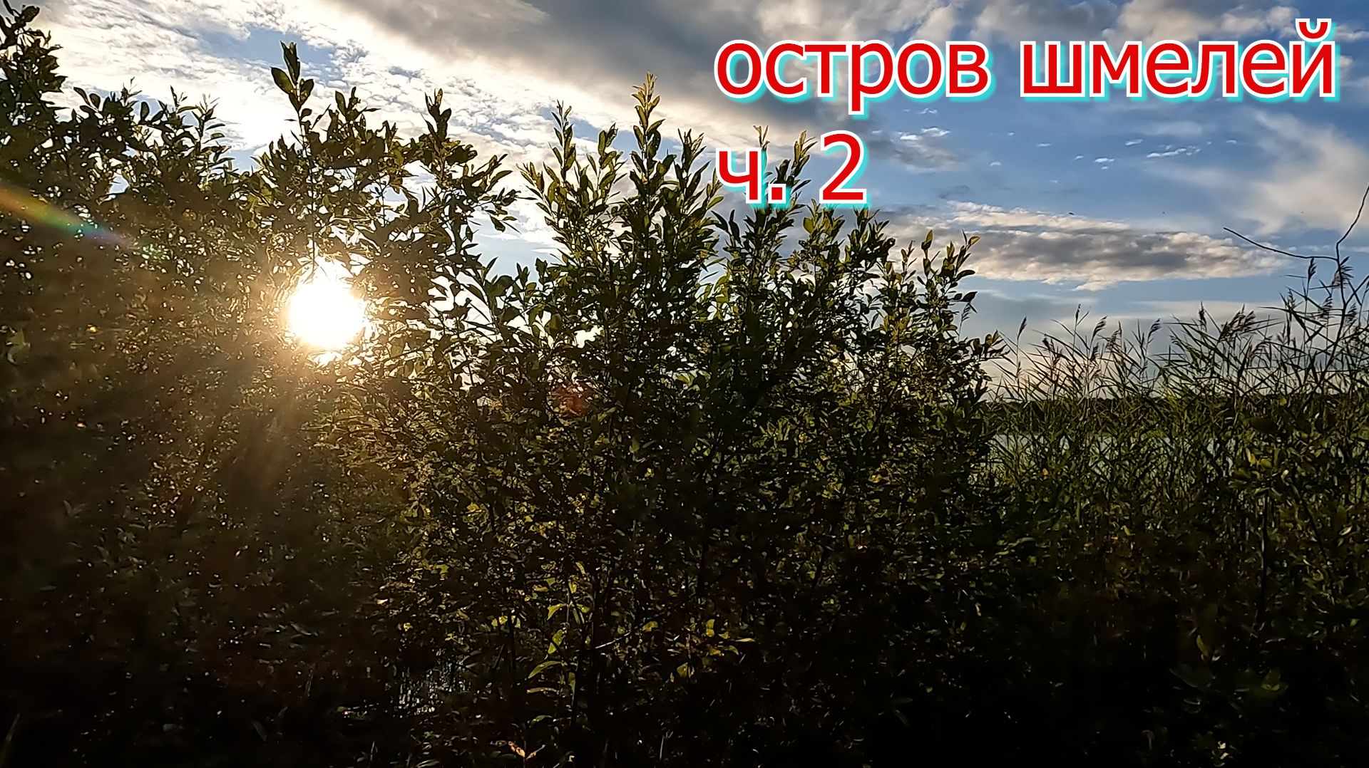 Остров шмелей ч. 2